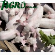 1agro.com.ua