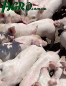 1agro.com.ua