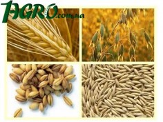 1agro.com.ua