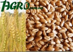 1agro.com.ua