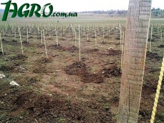 1agro.com.ua