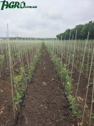 1agro.com.ua