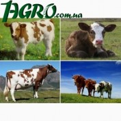 1agro.com.ua
