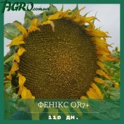 1agro.com.ua