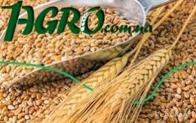 1agro.com.ua