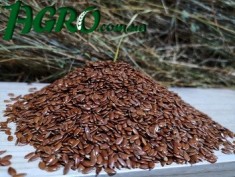 1agro.com.ua