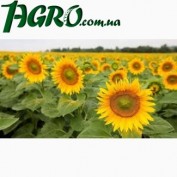 1agro.com.ua