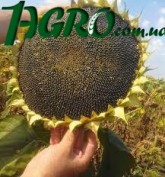 1agro.com.ua