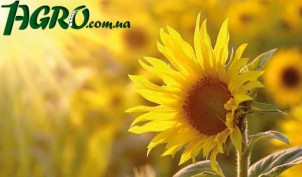 1agro.com.ua