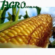 1agro.com.ua