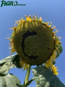 1agro.com.ua
