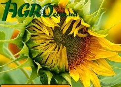 1agro.com.ua