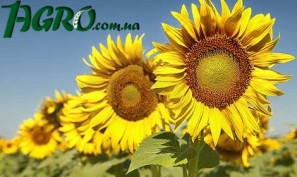 1agro.com.ua