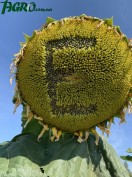 1agro.com.ua