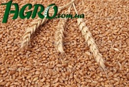 1agro.com.ua