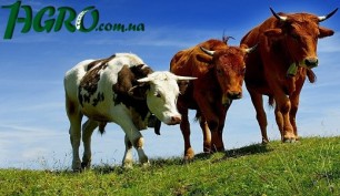 1agro.com.ua