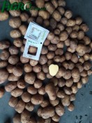 1agro.com.ua