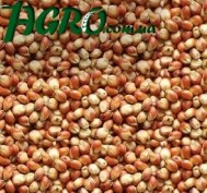 1agro.com.ua