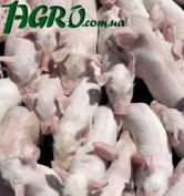 1agro.com.ua