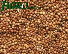 1agro.com.ua