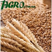 1agro.com.ua