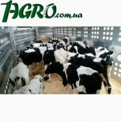 1agro.com.ua
