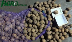 1agro.com.ua