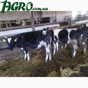 1agro.com.ua
