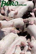 1agro.com.ua