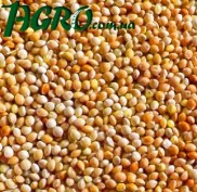 1agro.com.ua