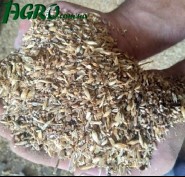 1agro.com.ua