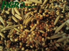 1agro.com.ua