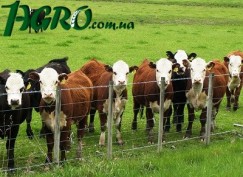 1agro.com.ua