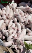 1agro.com.ua