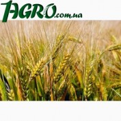 1agro.com.ua
