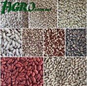 1agro.com.ua