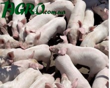 1agro.com.ua