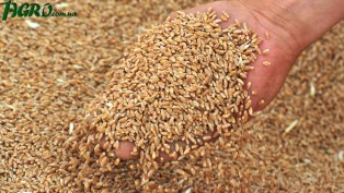 1agro.com.ua