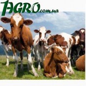 1agro.com.ua