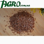 1agro.com.ua