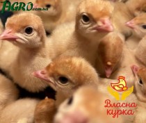 1agro.com.ua