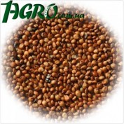 1agro.com.ua