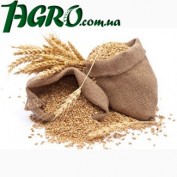 1agro.com.ua