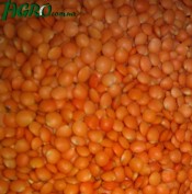 1agro.com.ua
