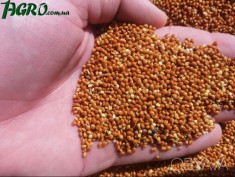 1agro.com.ua