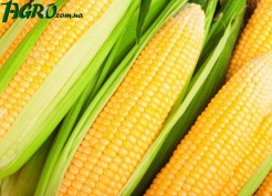 1agro.com.ua