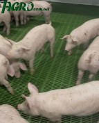 1agro.com.ua