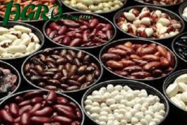 1agro.com.ua