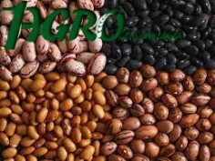 1agro.com.ua