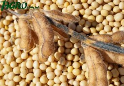 1agro.com.ua